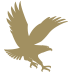 Embry-Riddle Eagle Logo